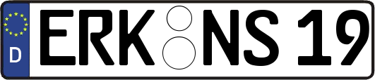 ERK-NS19