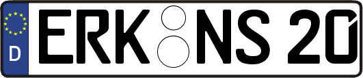 ERK-NS20
