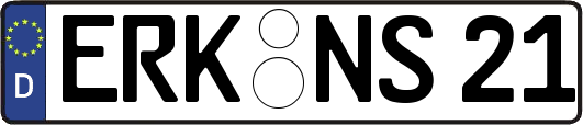 ERK-NS21