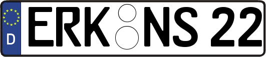 ERK-NS22