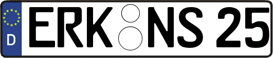 ERK-NS25