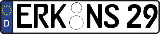 ERK-NS29