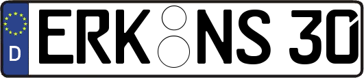 ERK-NS30