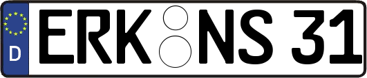 ERK-NS31