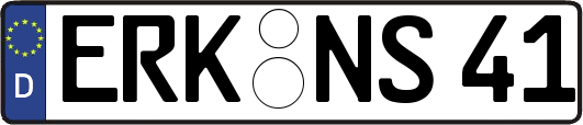 ERK-NS41