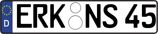 ERK-NS45