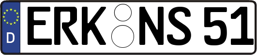 ERK-NS51