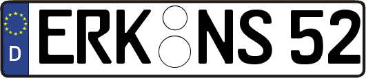 ERK-NS52
