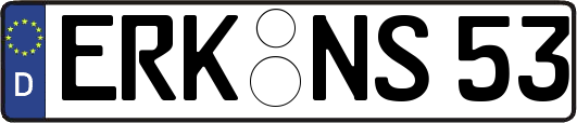ERK-NS53