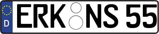ERK-NS55