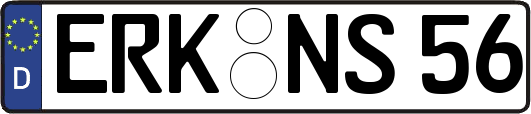 ERK-NS56