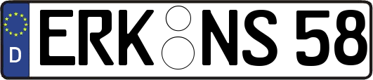 ERK-NS58