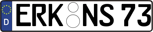 ERK-NS73