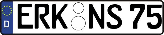 ERK-NS75