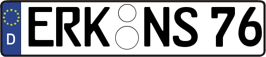 ERK-NS76