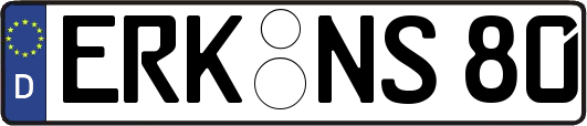ERK-NS80