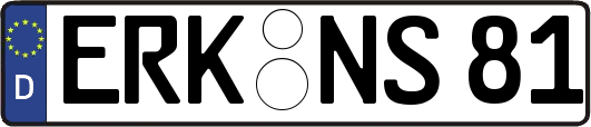 ERK-NS81