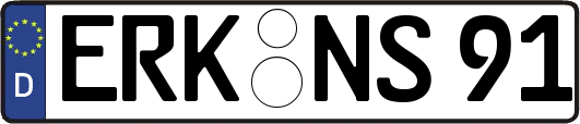 ERK-NS91