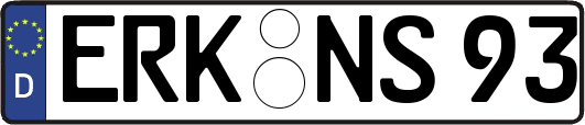 ERK-NS93