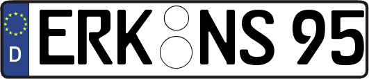 ERK-NS95