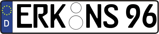 ERK-NS96