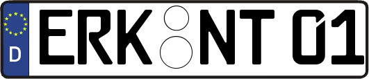 ERK-NT01