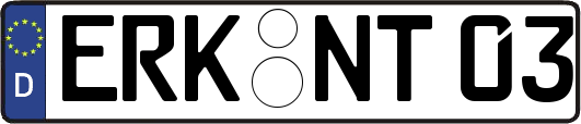 ERK-NT03