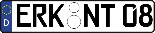 ERK-NT08
