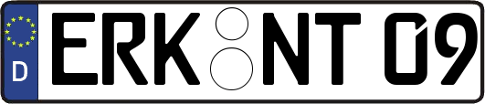 ERK-NT09