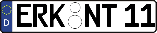ERK-NT11