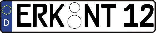 ERK-NT12