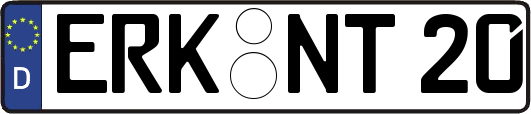 ERK-NT20