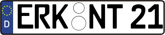 ERK-NT21
