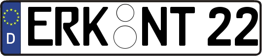 ERK-NT22