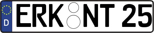 ERK-NT25
