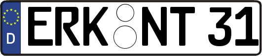 ERK-NT31
