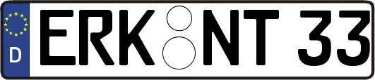 ERK-NT33