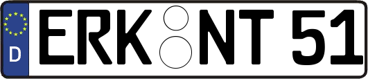 ERK-NT51