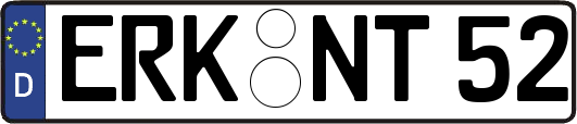 ERK-NT52