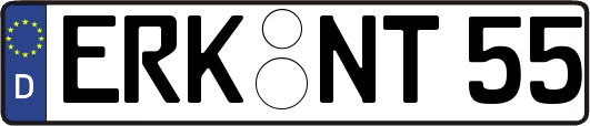 ERK-NT55