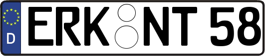 ERK-NT58