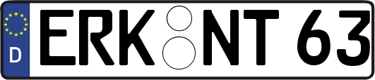 ERK-NT63