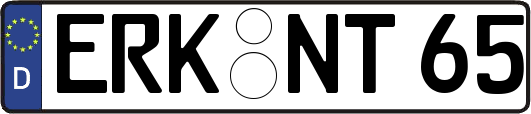 ERK-NT65