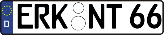 ERK-NT66