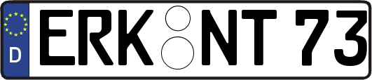 ERK-NT73