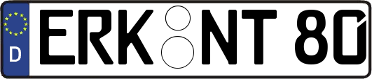 ERK-NT80