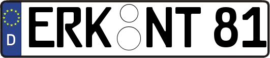 ERK-NT81