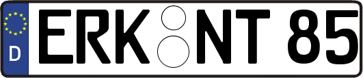 ERK-NT85