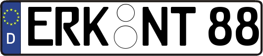 ERK-NT88