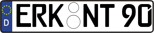 ERK-NT90
